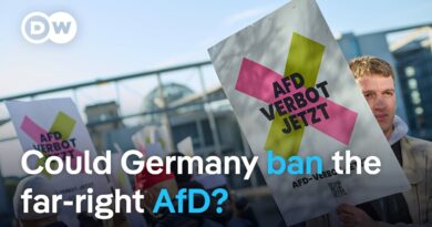 German lawmakers want to ban the far-right AfD party | DW News