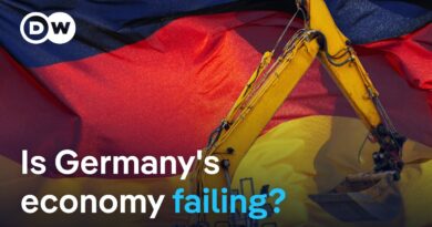 Germany’s government confirms second year of recession | DW News