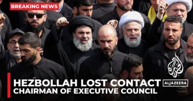 Hezbollah lost contact with chairman of executive council: Source