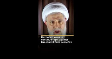 Hezbollah vows to continue fight against Israel until Gaza ceasefire | AJ #shorts