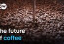 How climate change threatens coffee production | DW Documentary