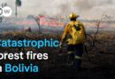 How fires are destroying Bolivia’s forests | DW Documentary