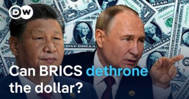 How realistic is the BRICS ambition to reshape global trade without the US Dollar? | DW News