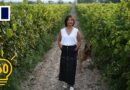 How some of the best wines in China are being made by women