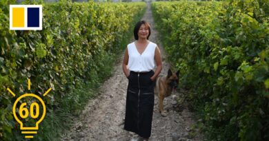 How some of the best wines in China are being made by women