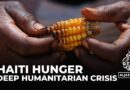 Hunger in Haiti: Half the country’s population facing food insecurity