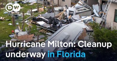 Hurricane Milton aftermath: People in Florida assess damage | DW News