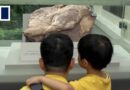 It’s confirmed! Dinosaurs used to roam Hong Kong