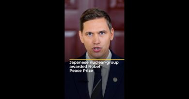 Japanese anti-nuclear group awarded Nobel Peace Prize | AJ #shorts