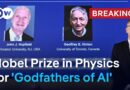 John Hopfield, Geoffrey Hinton win Physics Nobel Prize for findings in machine learning | DW News