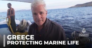 Marine ecosystem in danger: Fishermen launch initiative to protect sea in Amorgos