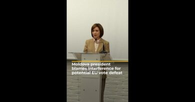 Moldova president blames interference for potential EU referendum loss | AJ #shorts