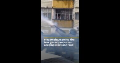 Mozambique police crack down on protesters alleging election fraud | AJ #shorts