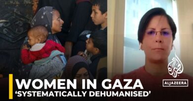 Palestinian women, children systematically dehumanised: UN expert