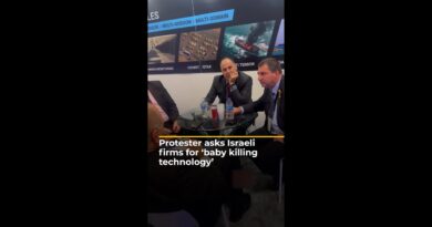 Protester asks Israeli weapons firms for ‘baby killing technology’ | AJ #shorts