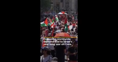 Protesters worldwide demand end to Israel’s year of war on Gaza | AJ #shorts