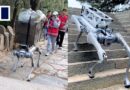 Robot dog takes over tough tasks on Mount Tai