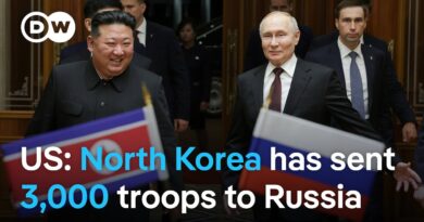 Russia-North Korea defense treaty: A sign of strength or desperation? | DW News