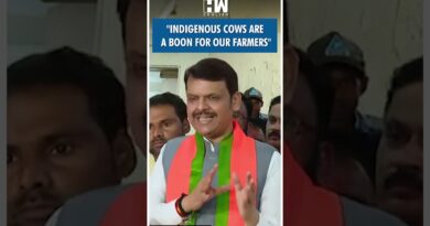 #Shorts | Devendra Fadnavis On Cow Named Rajya Mata