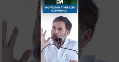 #Shorts | Rahul Gandhi calls Congress Workers Lion | Haryana Elections | BJP RSS | PM Modi | Hooda