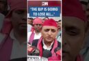 #Shorts | “The BJP is going to lose all..” | SP | Akhilesh Yadav | UP Bypolls 2024 | Yogi Adityanath