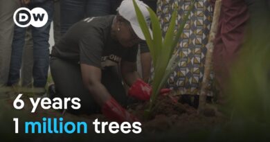 Sierra Leone: How Freetown’s mayor has transformed her city | DW News