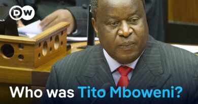 South African former minister and activist Tito Mboweni dies at 65 | DW News