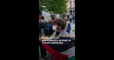 Students hold pro-Palestine protest at French university | AJ #shorts