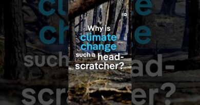 The climate change puzzle | DW Documentary