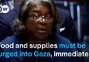 ‘The progress is insufficient’ US calls on Israel to increase aid into Gaza at UN meeting  | DW News