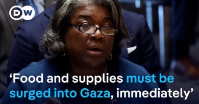 ‘The progress is insufficient’ US calls on Israel to increase aid into Gaza at UN meeting  | DW News