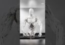 This is the world’s first bimanual humanoid torso