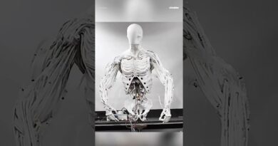 This is the world’s first bimanual humanoid torso