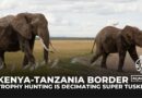 Trophy hunting is driving Kenya’s super tusker elephants towards extinction at the Tanzania border