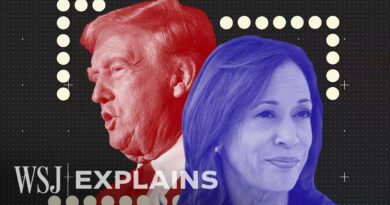 Trump Takes Lead Over Harris in Closing Weeks of 2024 Race, WSJ Poll Finds | WSJ