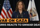 US’s Harris reacts to news of Sinwar death | AJ #shorts