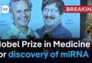 Victor Ambros, Gary Ruvkun win 2024 Medicine Nobel Prize for discovery of microRNA | DW News