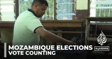 Vote counting in Mozambique: Opposition says election is fraudulent