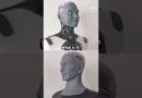 Watch: “World’s most advanced humanoid robots” bicker