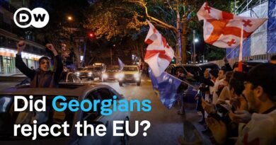 What Georgian election results mean for Georgia, the EU and Russia | DW News