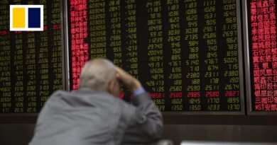 Why are China markets so volatile?