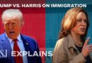 Why Both Trump and Harris Want More Border Security Now | WSJ