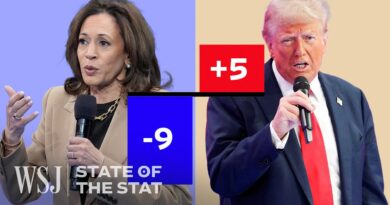 Why Harris Is Struggling With 2024’s Latino Vote | WSJ State of the Stat