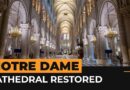 A first look at the fully restored Notre Dame Cathedral | AJ #Shorts