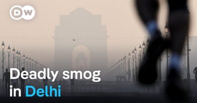 Air pollution in Indian capital Delhi hits dangerous levels | DW News