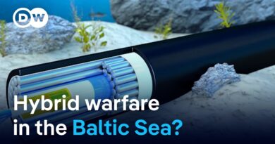 Baltic Sea data cable damaged: Germany assumes sabotage | DW News