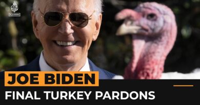 Biden gives final Thanksgiving turkey pardons of his presidency | AJ #Shorts