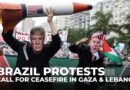 Brazil protests ahead of G20 summit: Demonstrators call for ceasefire in Gaza and Lebanon