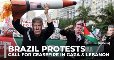 Brazil protests ahead of G20 summit: Demonstrators call for ceasefire in Gaza and Lebanon