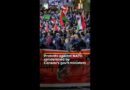 Canada’s gov’t condemns protests against NATO’s ‘complicity’ with Israel | AJ#shorts